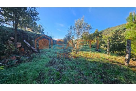 Landejendom i Guarda, Guarda, Guarda - € 325.000 | Ref: SAFTI:006833 - foto 19