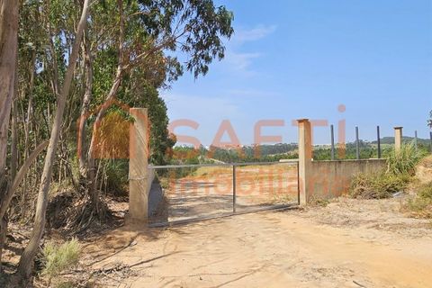 Erhvervsejendom i Matacaes, Lisbon, Matacaes - € 300.000 | Ref: SAFTI:006854 - foto 1