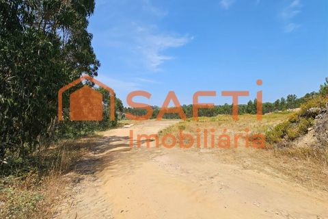 Erhvervsejendom i Matacaes, Lisbon, Matacaes - € 300.000 | Ref: SAFTI:006854 - foto 14