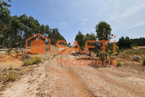 Erhvervsejendom i Matacaes, Lisbon, Matacaes - € 300.000 | Ref: SAFTI:006854 - foto 21