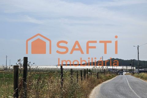 Erhvervsejendom i Matacaes, Lisbon, Matacaes - € 300.000 | Ref: SAFTI:006854 - foto 28