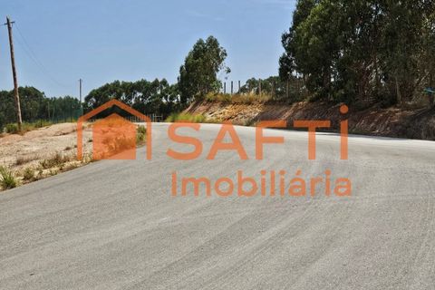 Erhvervsejendom i Matacaes, Lisbon, Matacaes - € 300.000 | Ref: SAFTI:006854 - foto 30