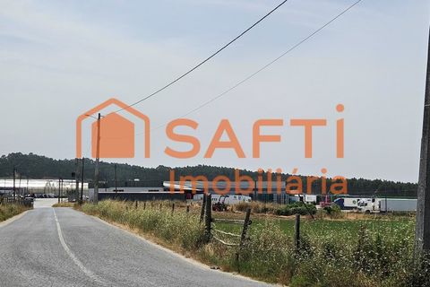 Erhvervsejendom i Matacaes, Lisbon, Matacaes - € 300.000 | Ref: SAFTI:006854 - foto 31