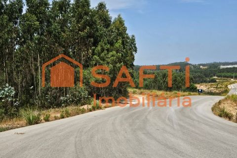 Erhvervsejendom i Matacaes, Lisbon, Matacaes - € 300.000 | Ref: SAFTI:006854 - foto 33