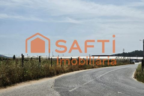 Erhvervsejendom i Matacaes, Lisbon, Matacaes - € 300.000 | Ref: SAFTI:006854 - foto 34