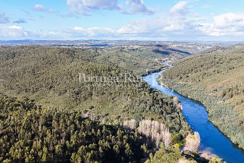 Herregård i Tomar, Santarem, Tomar - € 950 000 | Ref: FG772 - foto 3