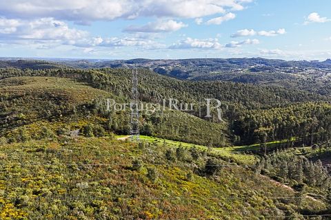 Herregård i Tomar, Santarem, Tomar - € 950 000 | Ref: FG772 - foto 4