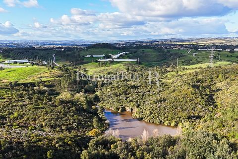 Herregård i Tomar, Santarem, Tomar - € 950 000 | Ref: FG772 - foto 5