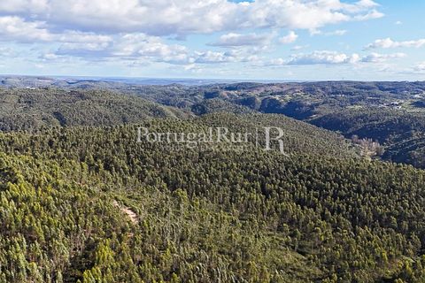 Herregård i Tomar, Santarem, Tomar - € 950 000 | Ref: FG772 - foto 6