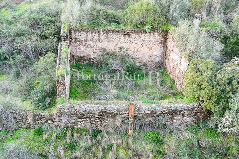 Herregård i Tomar, Santarem, Tomar - € 950 000 | Ref: FG772 - foto 7