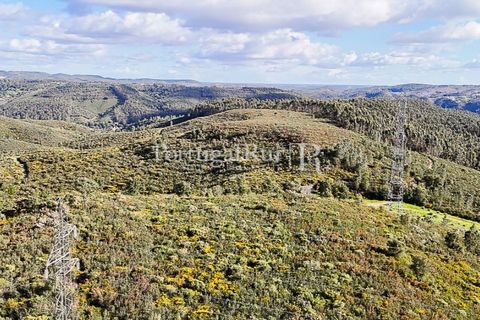 Herregård i Tomar, Santarem, Tomar - € 950 000 | Ref: FG772 - foto 8