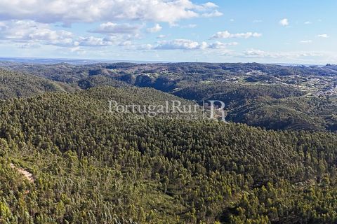 Herregård i Tomar, Santarem, Tomar - € 950 000 | Ref: FG772 - foto 9