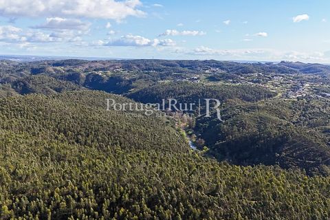 Herregård i Tomar, Santarem, Tomar - € 950 000 | Ref: FG772 - foto 11