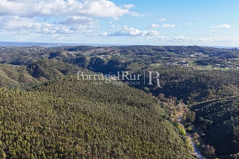 Herregård i Tomar, Santarem, Tomar - € 950 000 | Ref: FG772 - foto 12