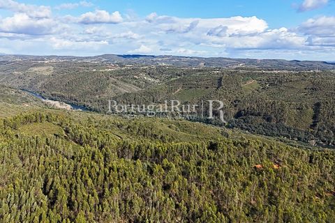 Herregård i Tomar, Santarem, Tomar - € 950 000 | Ref: FG772 - foto 14