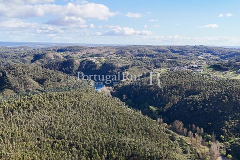 Herregård i Tomar, Santarem, Tomar - € 950 000 | Ref: FG772 - foto 15
