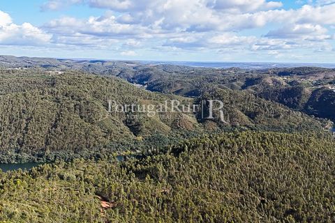 Herregård i Tomar, Santarem, Tomar - € 950 000 | Ref: FG772 - foto 16