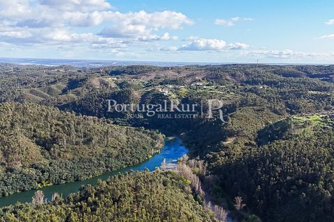 Herregård i Tomar, Santarem, Tomar - € 950 000 | Ref: FG772 - foto 17