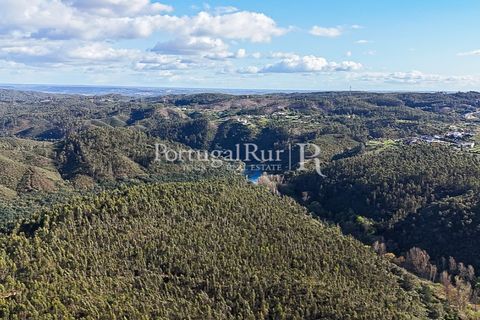 Herregård i Tomar, Santarem, Tomar - € 950 000 | Ref: FG772 - foto 18