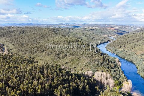 Herregård i Tomar, Santarem, Tomar - € 950 000 | Ref: FG772 - foto 20