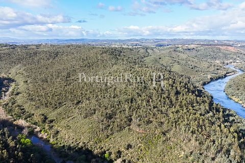 Herregård i Tomar, Santarem, Tomar - € 950 000 | Ref: FG772 - foto 21