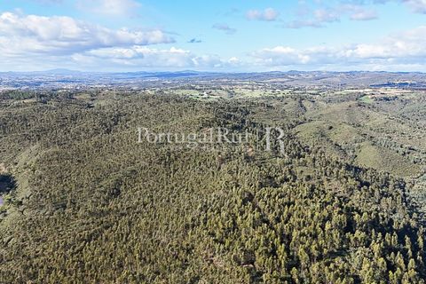 Herregård i Tomar, Santarem, Tomar - € 950 000 | Ref: FG772 - foto 22