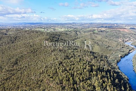 Herregård i Tomar, Santarem, Tomar - € 950 000 | Ref: FG772 - foto 23