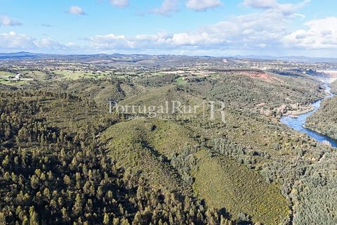 Herregård i Tomar, Santarem, Tomar - € 950 000 | Ref: FG772 - foto 24