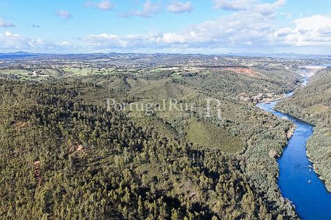 Herregård i Tomar, Santarem, Tomar - € 950 000 | Ref: FG772 - foto 25