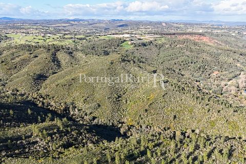 Herregård i Tomar, Santarem, Tomar - € 950 000 | Ref: FG772 - foto 26