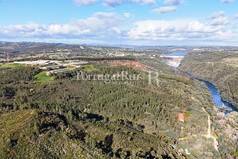 Herregård i Tomar, Santarem, Tomar - € 950 000 | Ref: FG772 - foto 2