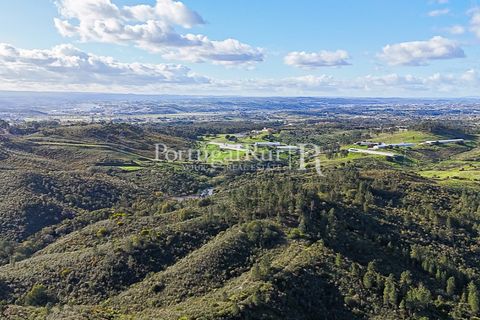 Herregård i Tomar, Santarem, Tomar - € 950 000 | Ref: FG772 - foto 27