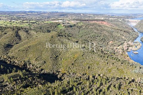 Herregård i Tomar, Santarem, Tomar - € 950 000 | Ref: FG772 - foto 28