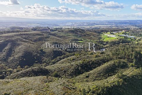 Herregård i Tomar, Santarem, Tomar - € 950 000 | Ref: FG772 - foto 30