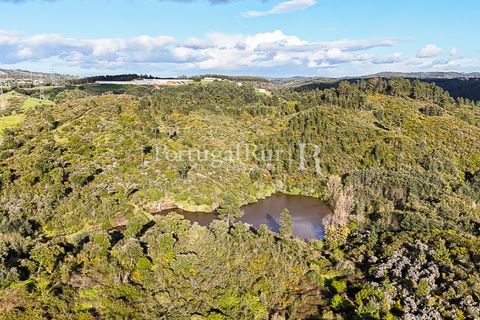 Herregård i Tomar, Santarem, Tomar - € 950 000 | Ref: FG772 - foto 32
