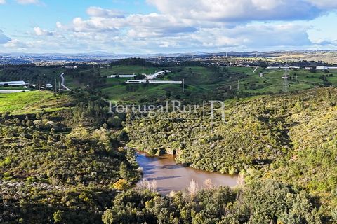 Herregård i Tomar, Santarem, Tomar - € 950 000 | Ref: FG772 - foto 36