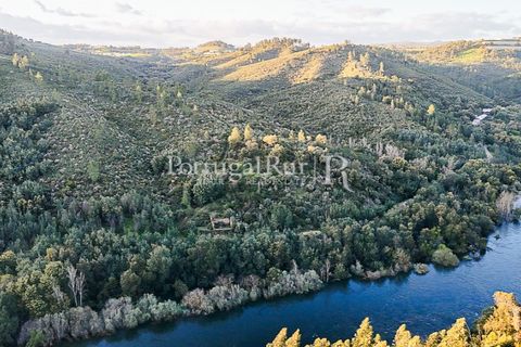 Herregård i Tomar, Santarem, Tomar - € 950 000 | Ref: FG772 - foto 37