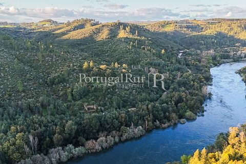 Herregård i Tomar, Santarem, Tomar - € 950 000 | Ref: FG772 - foto 39