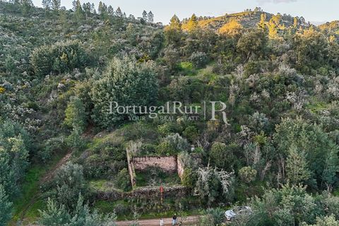 Herregård i Tomar, Santarem, Tomar - € 950 000 | Ref: FG772 - foto 40