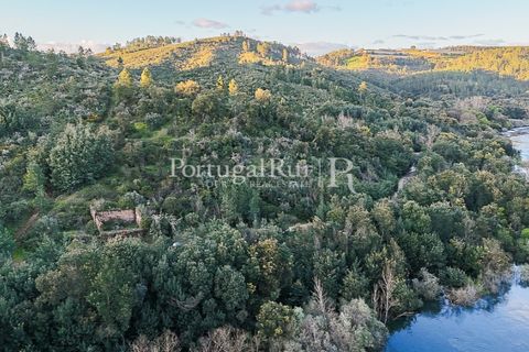 Herregård i Tomar, Santarem, Tomar - € 950 000 | Ref: FG772 - foto 41