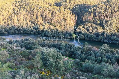 Herregård i Tomar, Santarem, Tomar - € 950 000 | Ref: FG772 - foto 43