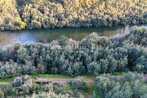 Herregård i Tomar, Santarem, Tomar - € 950 000 | Ref: FG772 - foto 44