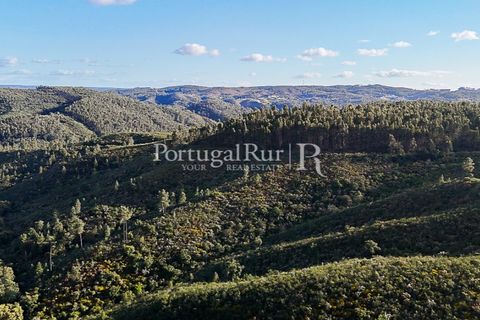 Herregård i Tomar, Santarem, Tomar - € 950 000 | Ref: FG772 - foto 45