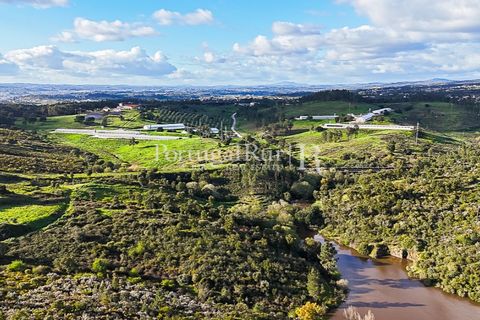Herregård i Tomar, Santarem, Tomar - € 950 000 | Ref: FG772 - foto 46