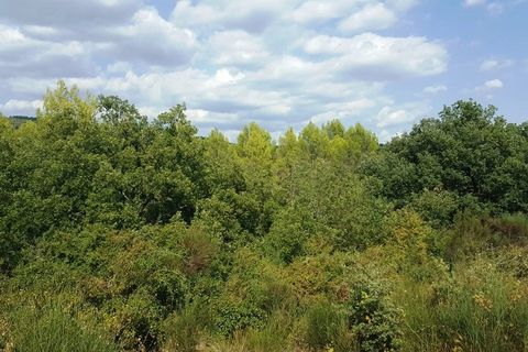 Helårsgrund i Cotignac, Var, Cotignac - € 130.000 | Ref: 3597 - foto 3