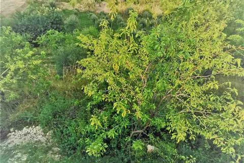 Villa i Noto, Siracusa, Noto - € 190.000 | Ref: 8VM - foto 10