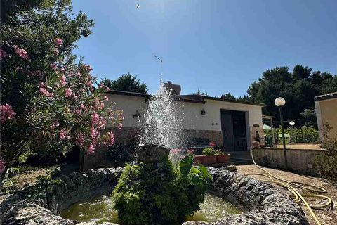Villa i Noto, Siracusa, Noto - € 280.000 | Ref: 44VNC - foto 6