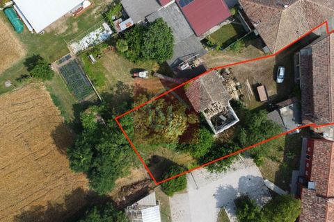 Villa a Bagnaria Arsa, Udine, Bagnaria Arsa - € 87.000 | Ref: RP2069 - foto 3