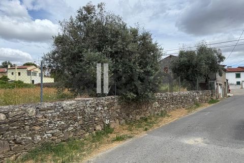 Helårsgrund i Castelo Branco, Castelo Branco, Castelo Branco - € 69.000 | Ref: 3958 - foto 2