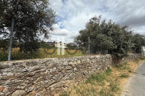 Helårsgrund i Castelo Branco, Castelo Branco, Castelo Branco - € 69.000 | Ref: 3958 - foto 5
